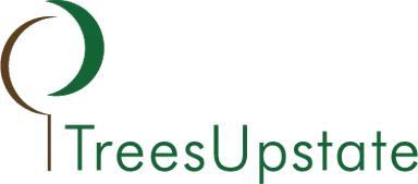 TreesUpstate